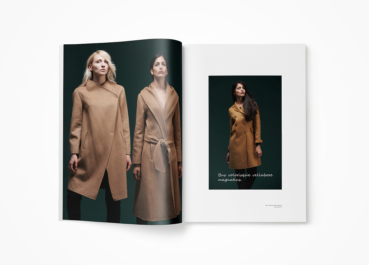 斯狄芬妮服装品牌画册