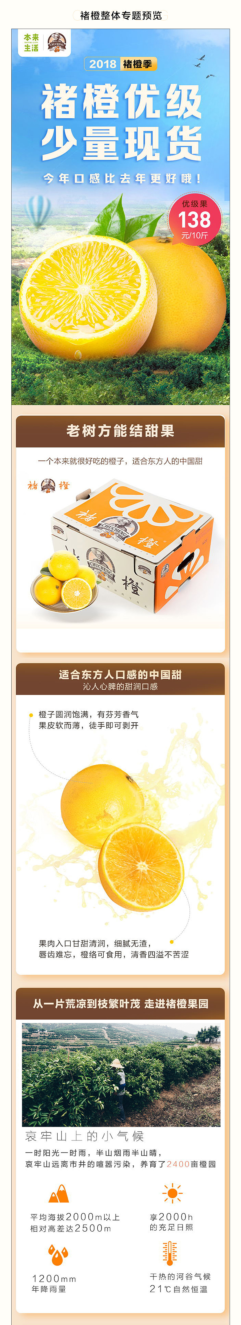 本来生活x褚橙 年度视觉回顾(2018)