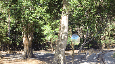 instant tomorrow（图ZODc2MDAwNzI=） - 人像摄影 - 站酷设计师钱文卓Walden原创素材 - 站酷ZCOOL