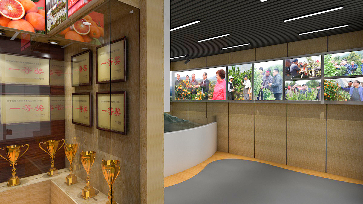 血橙博物馆展厅效果图