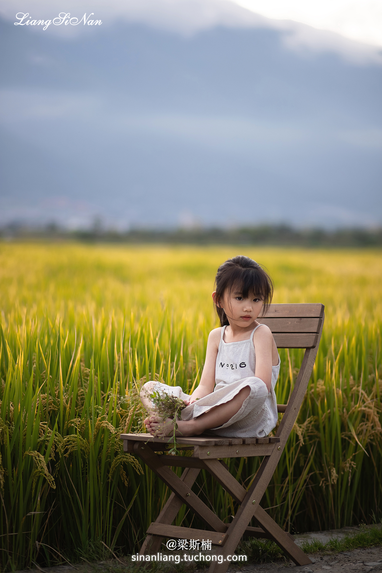 风,已经是秋天的味道了呢!