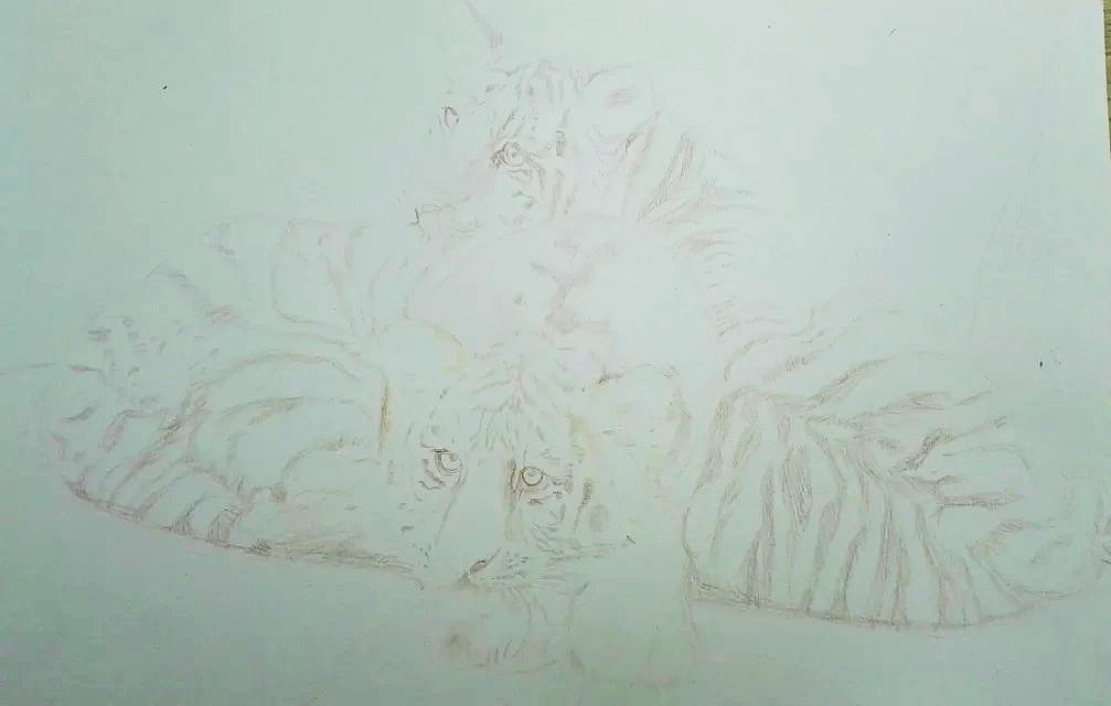 打型,打型对我来说是画画最重要的一步,型打的准,后面就会省了很多麻烦,所以在打型上要用心去画