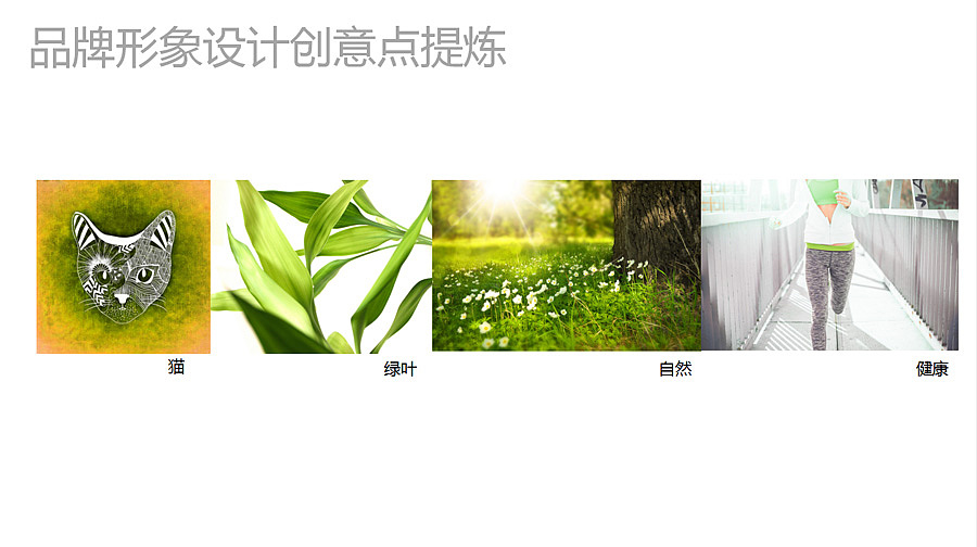 西林设计原创 | 泰来~素食猫 品牌&包装全案设计（图ZNjkyNTYyOTY=） - 包装 - 站酷设计师西林杰客原创素材 - 站酷ZCOOL