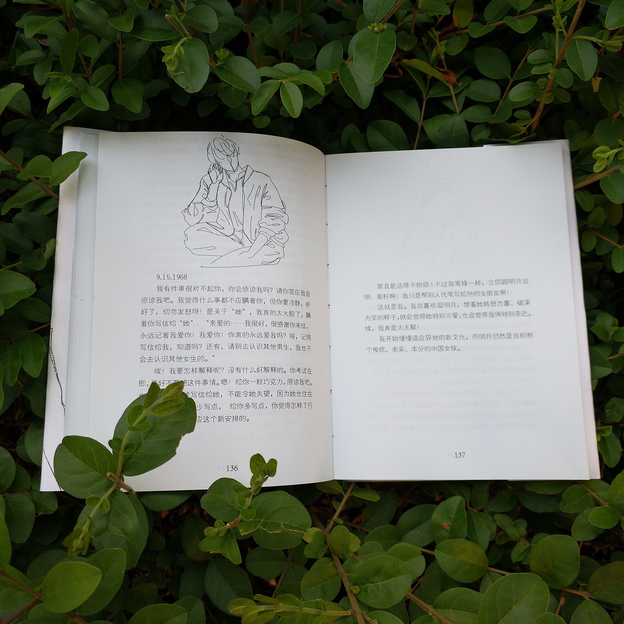 书装设计《寄给与我相同的灵魂》