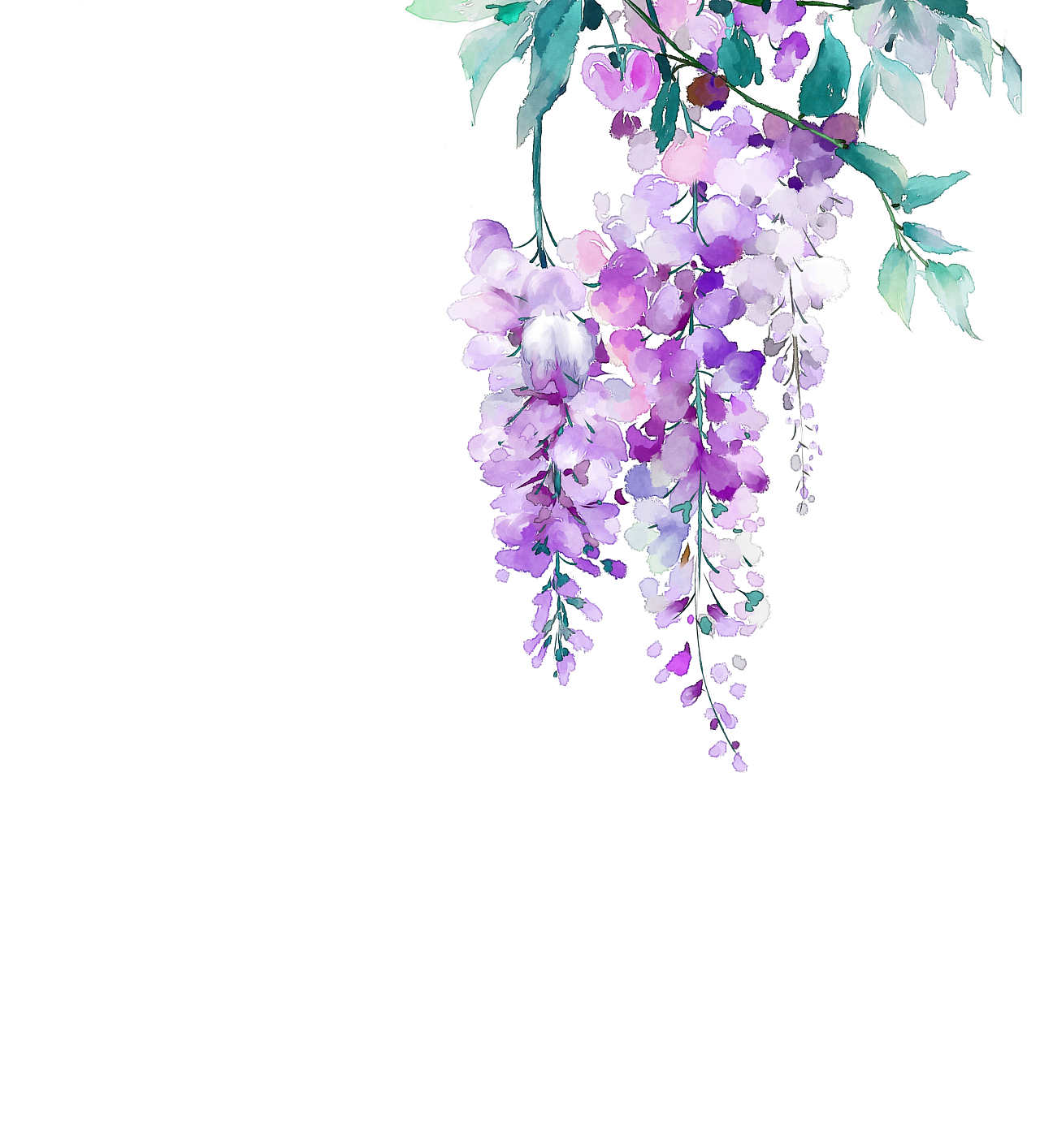 紫藤花logo插画图片