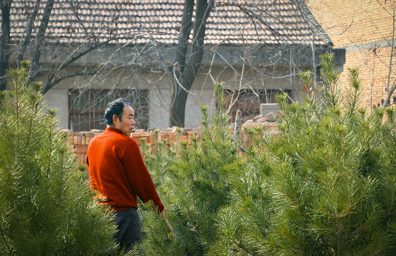 正月初七（图ZMTk0NTE0OTQw） - 人像摄影 - 站酷设计师何春天T原创素材 - 站酷ZCOOL