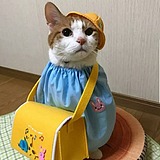 whl0602的头像