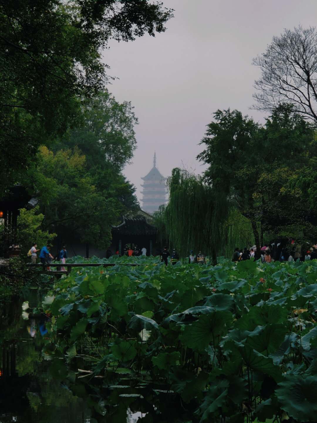 帶帶弟弟呀的個(gè)人主頁(yè)（封面預(yù)覽） - 主頁(yè)封面設(shè)置 - 站酷設(shè)計(jì)師帶帶弟弟呀原創(chuàng)素材 - 站酷ZCOOL