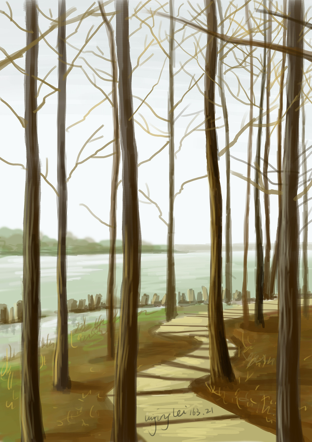 树林（图ZNDQ3NTQxMzY=） - 创作习作 - 站酷设计师UUUJL原创素材 - 站酷ZCOOL