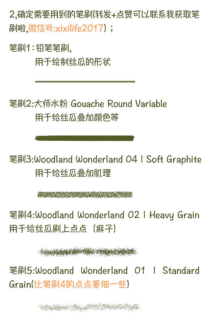 张xixi的插画教程第2弹-手绘丝瓜