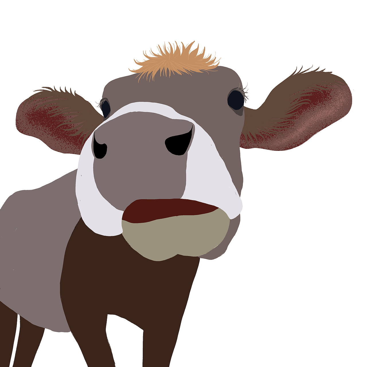 牛|插画|创作习作|哗哩狐哨_原创作品-站酷zcool
