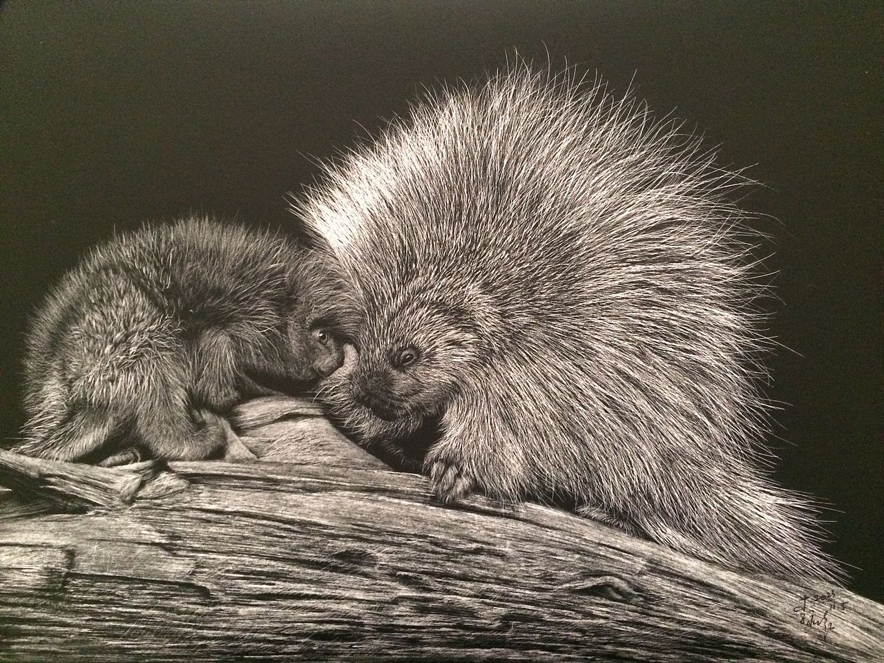李子哥动物亲子系列刮画《遇见》（图ZMzU2MDU4Mjky） - 绘画 - 站酷设计师李子哥原创素材 - 站酷ZCOOL