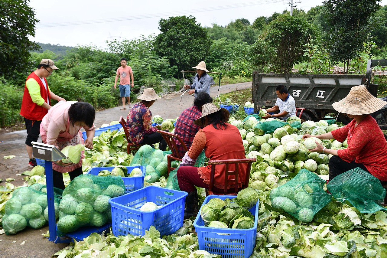 陈老汉出品 | 黄篮子生鲜连锁品牌VI视觉体系制造