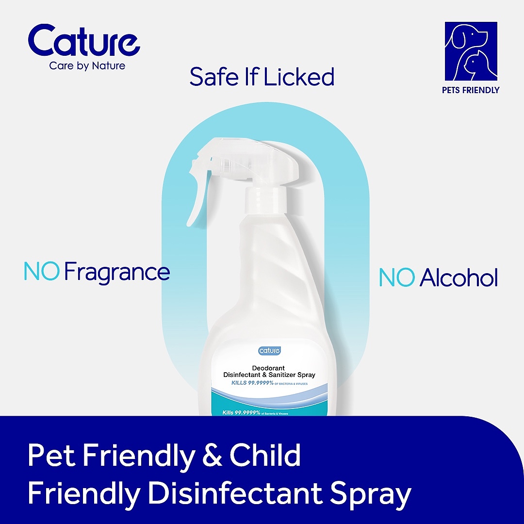 海报（图ZMjkwMjkyMzUy） - Poster - 站酷设计师eyhg原创素材 - 站酷ZCOOL