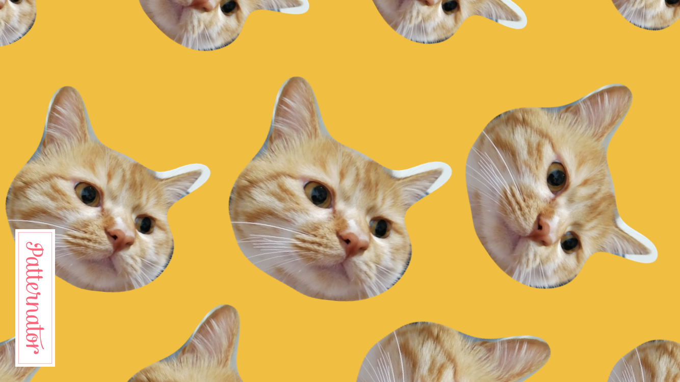 章梦茜的个人主页（封面预览） - 主页封面设置 - 站酷设计师章梦茜原创素材 - 站酷ZCOOL