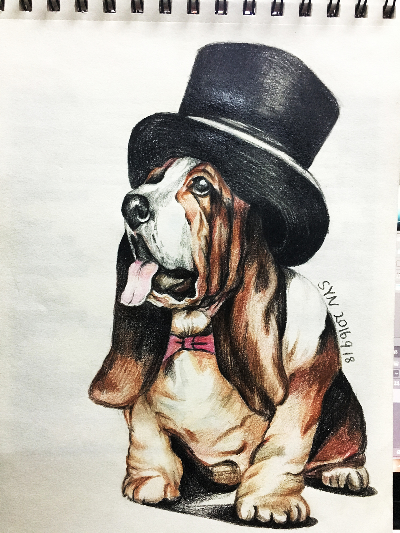 手绘狗狗彩铅练习