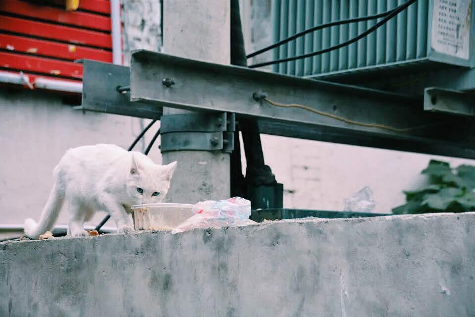 去老街散步才是正经事