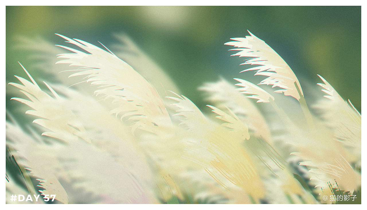 60天色彩速写打卡~（图ZMjc5MzYzNDI4） - 创作习作 - 站酷设计师猫的影子神经病原创素材 - 站酷ZCOOL