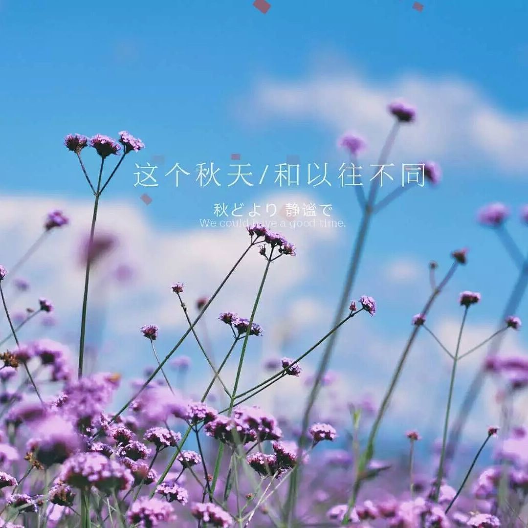 花花草草（圖ZNjgxNDY3MjQ=） - 風(fēng)光攝影 - 站酷設(shè)計(jì)師Rita007原創(chuàng)素材 - 站酷ZCOOL