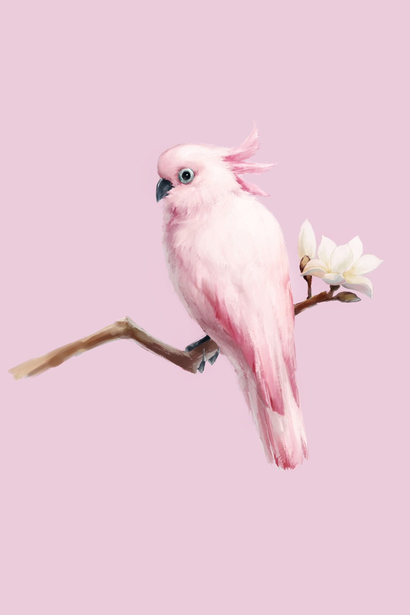 Z68196821的个人主页（背景预览） - 主页背景设置 - 站酷设计师Z68196821原创素材 - 站酷ZCOOL