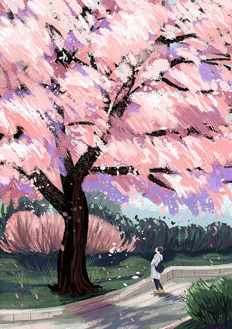 猫与婵插画记 | 樱花之旅 - 原创作品 - 站酷(zcool)