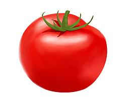 西紅柿