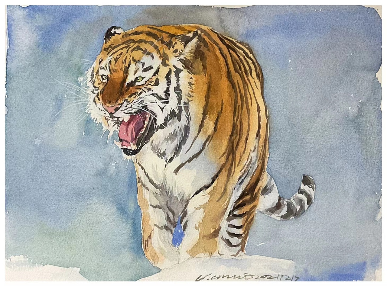 关于生肖虎的绘画作品图片