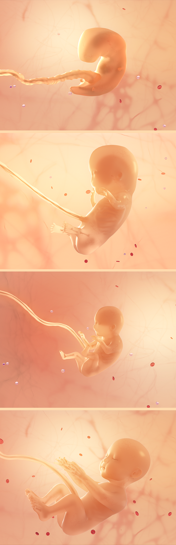 《雀巢妈妈奶粉》VR视频作品（图ZMTQ3OTA4NDc2） - 宣传片 - 站酷设计师NAXX_Studio原创素材 - 站酷ZCOOL