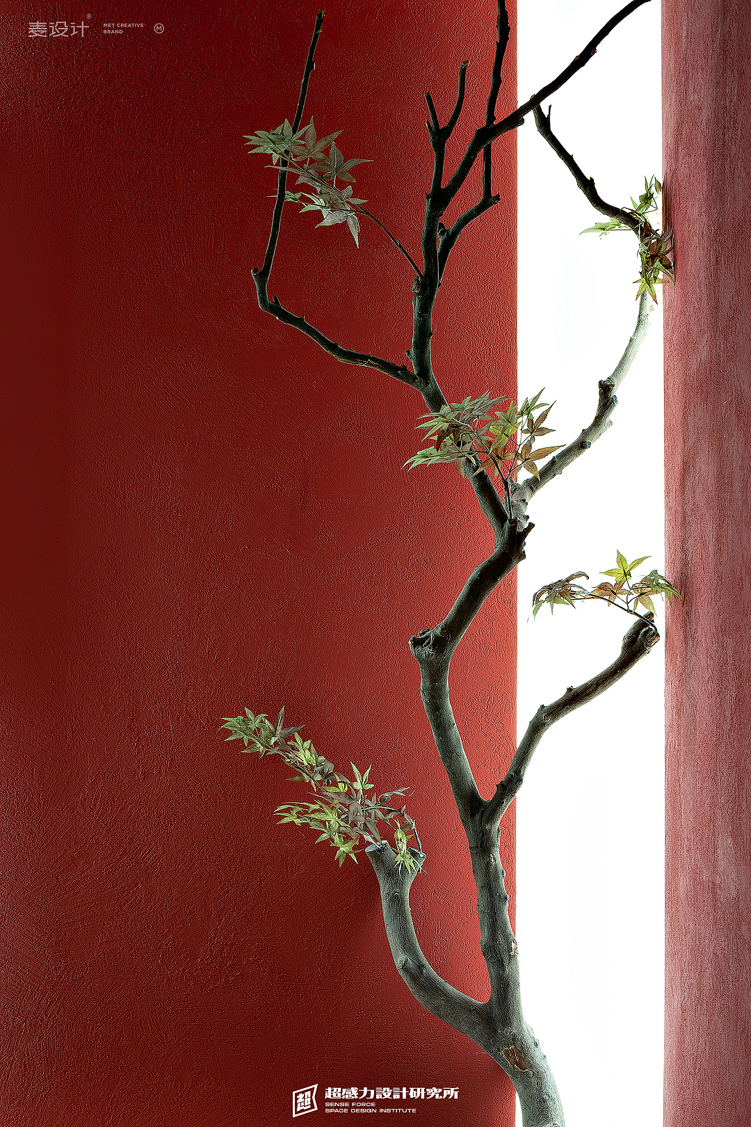 耘畴日料 —— 一隅光景,拙雅自成 | 耶兔兽设计