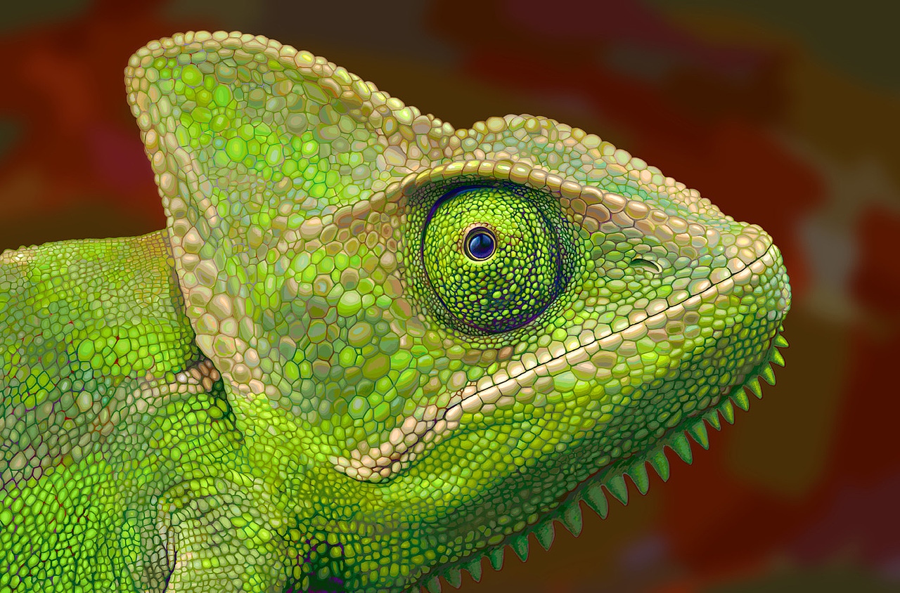 变色龙手绘板练习