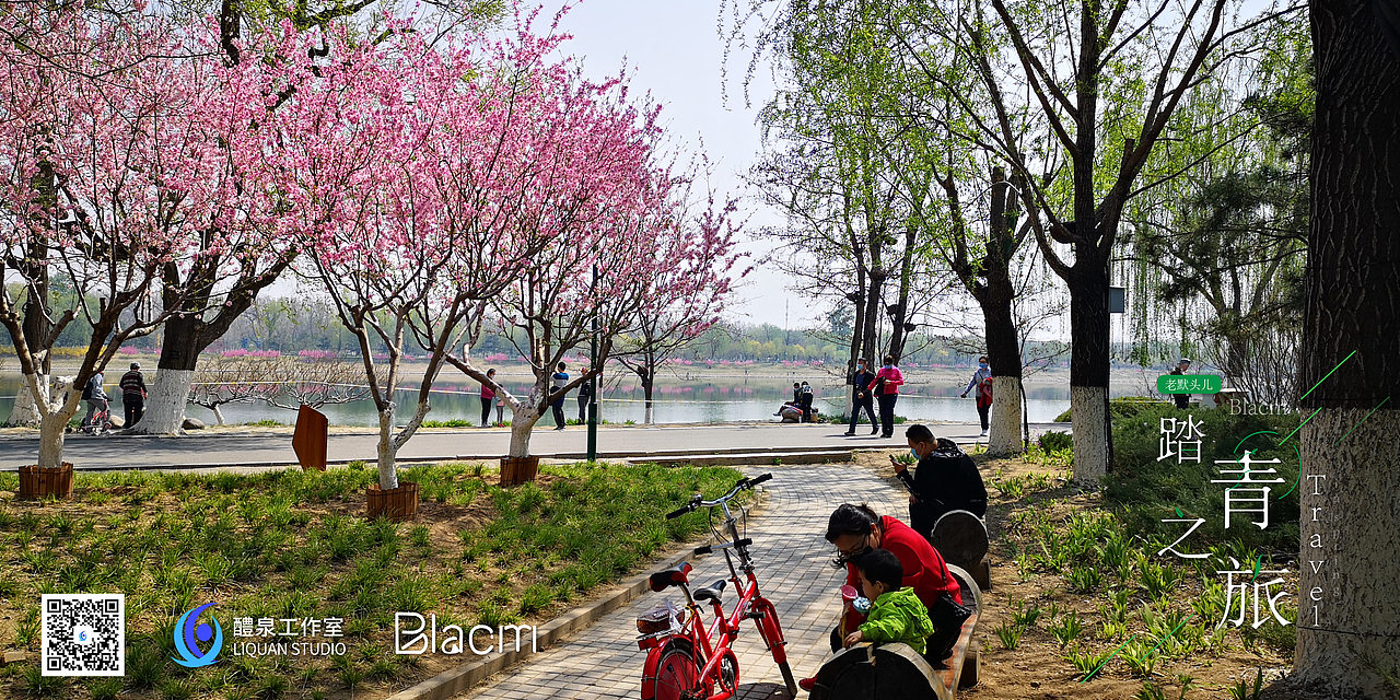 Blacm的踏春之旅（图ZMjA0NTIyMzQw） - 风光摄影 - 站酷设计师Blacm原创素材 - 站酷ZCOOL