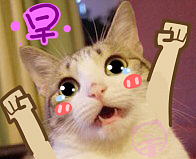 呆呆小熊恶搞猫狗表情