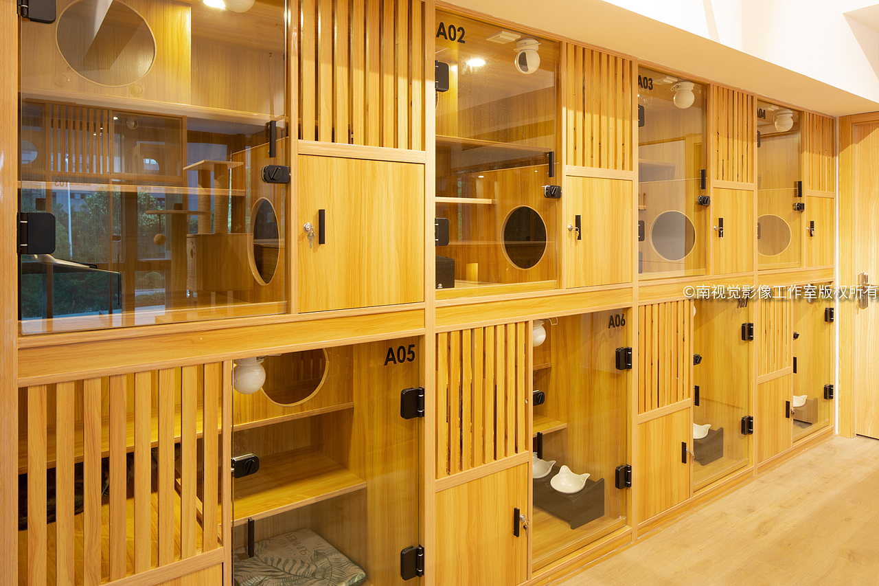 南京仙林宠物店室内照片南京空间摄影南京空间拍摄