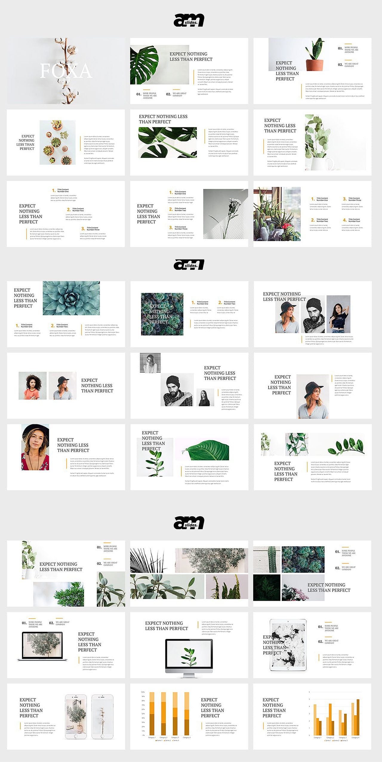 国外PPT清新简约绿色植物教学课件Keynote模板