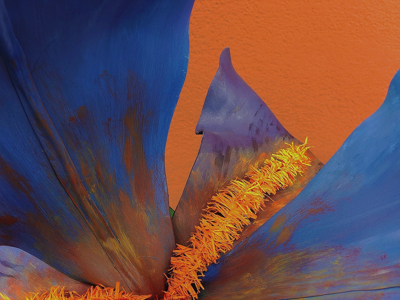 “纸艺作品 ”x 《鸢尾》