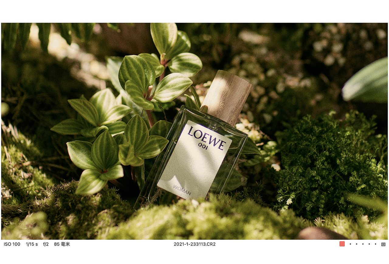 男士EDT淡香水事后清晨花木香 ✖LOEWE/罗意威