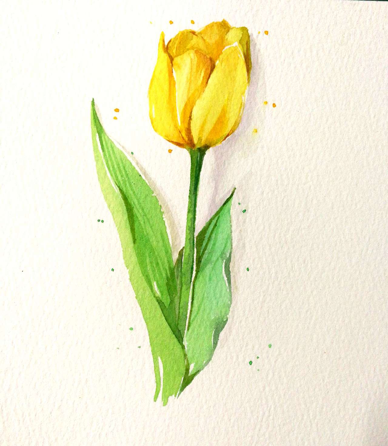 郁金香（图ZODE5Njc2NzY=） - 商业插画 - 站酷设计师方心上游原创素材 - 站酷ZCOOL