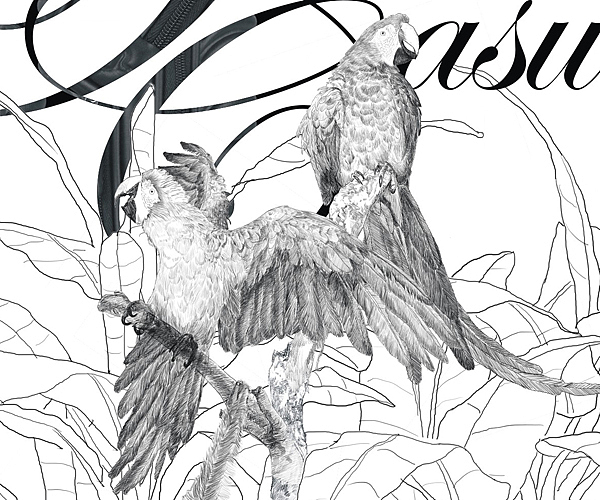 黑贝壳镜头筒平面广告（图ZNDYyNjQwMA==） - 宣传物料 - 站酷设计师创生品牌设计原创素材 - 站酷ZCOOL