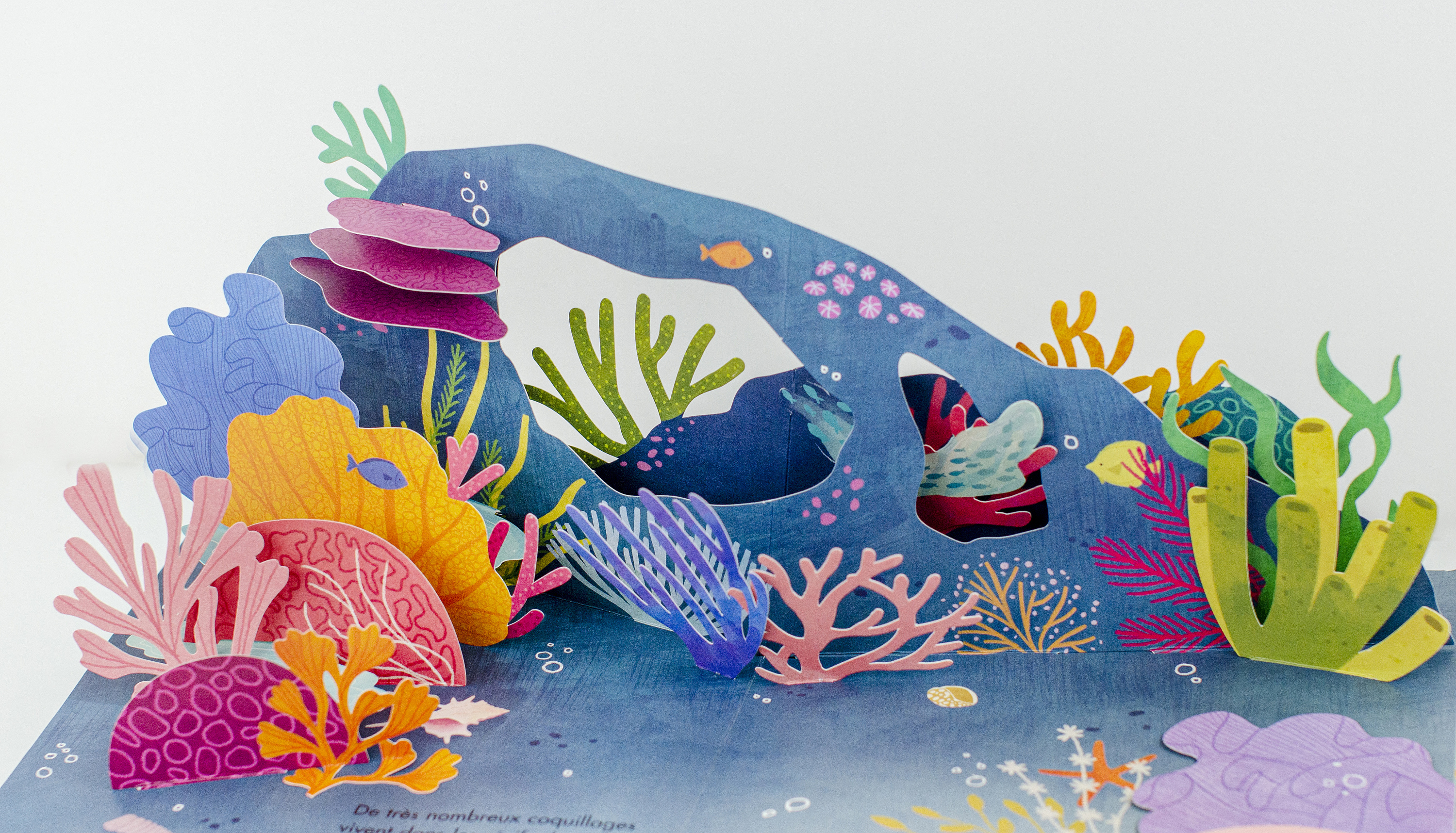 立体书插画v型折