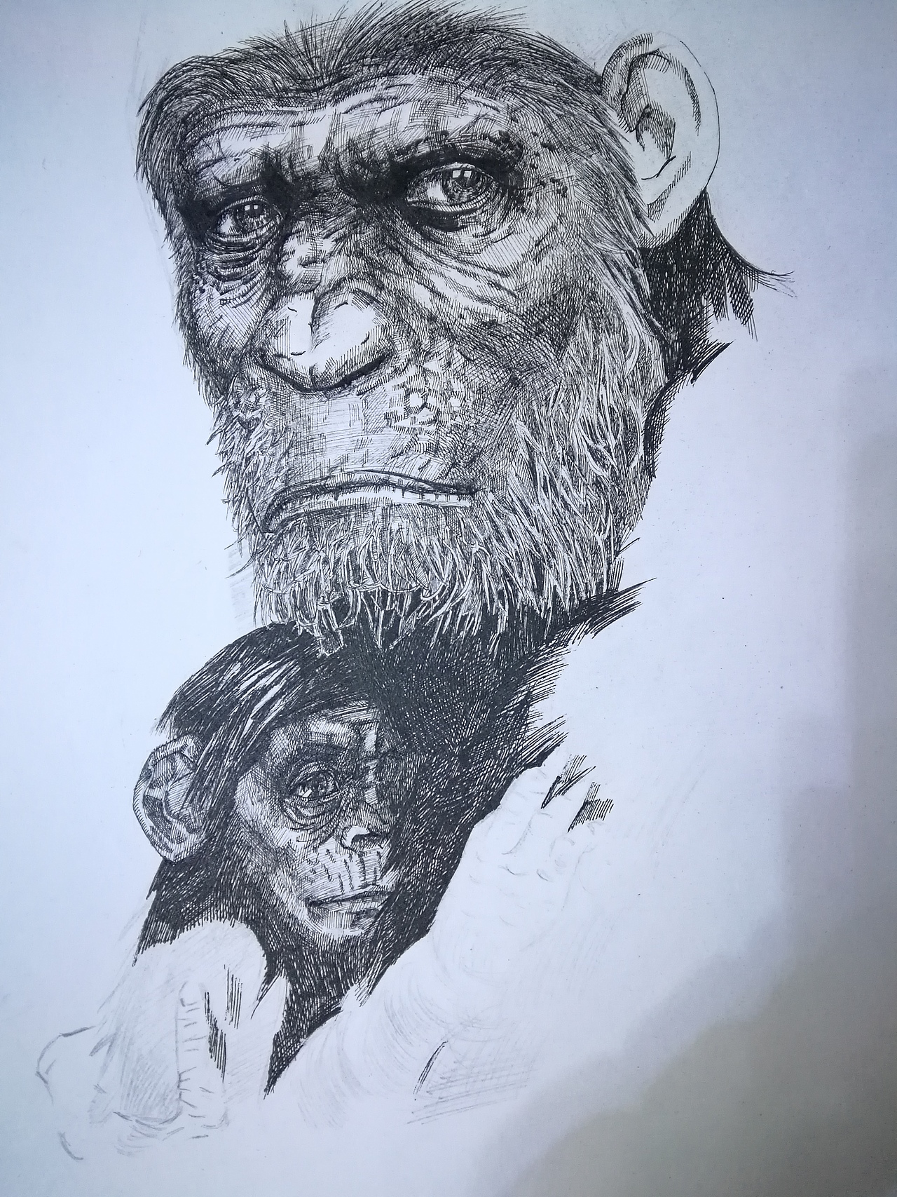 教练,我想学画画