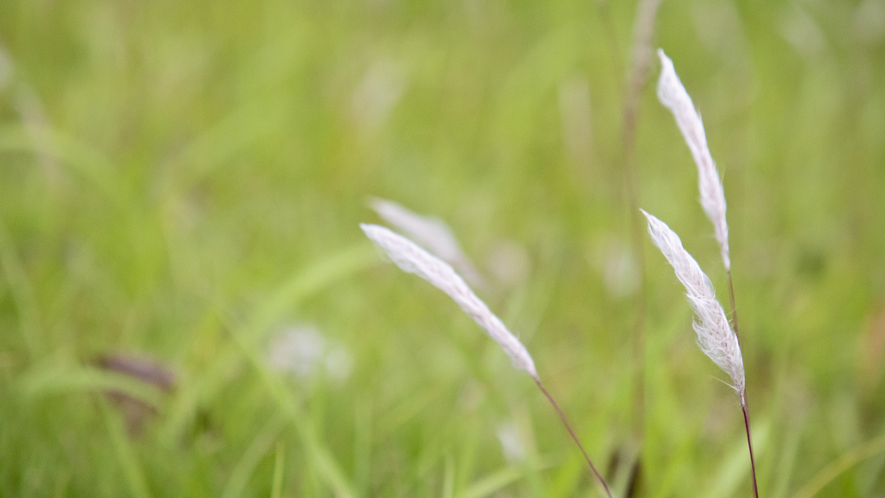 【杭州】杭州随拍