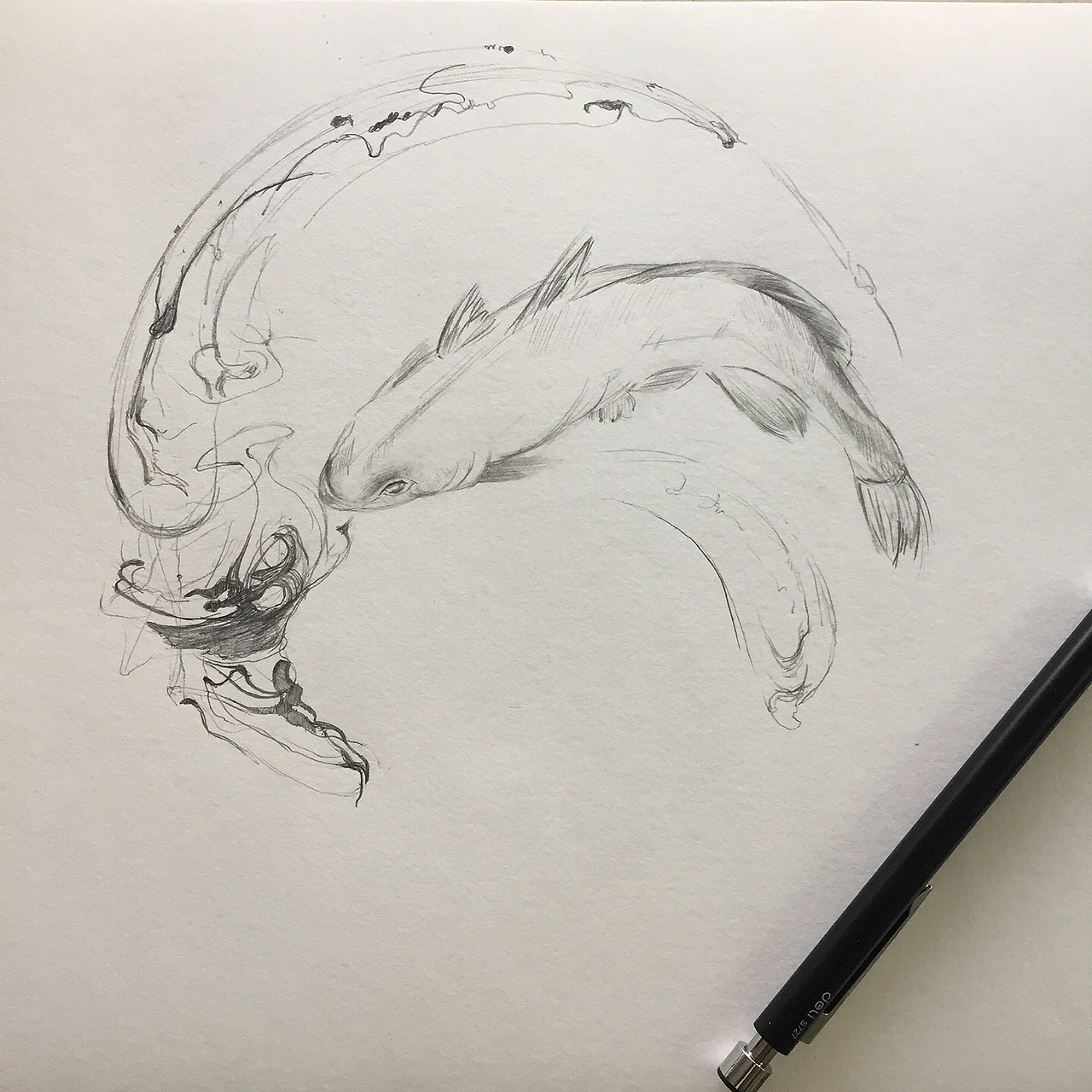 手绘水墨鱼（图ZMTEzNzUzODM2） - 艺术插画 - 站酷设计师娜孟孟孟原创素材 - 站酷ZCOOL