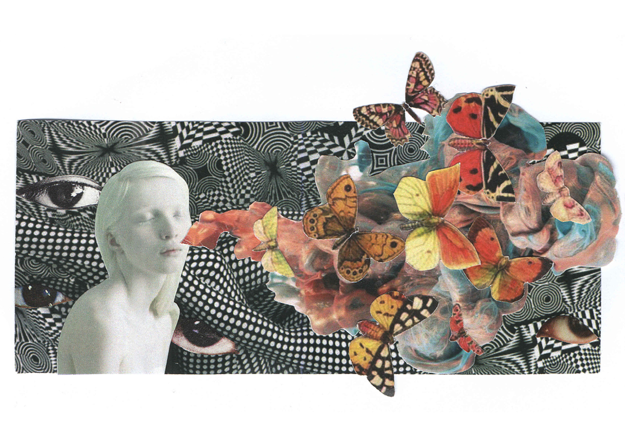 一些动物与人物的拼贴作业