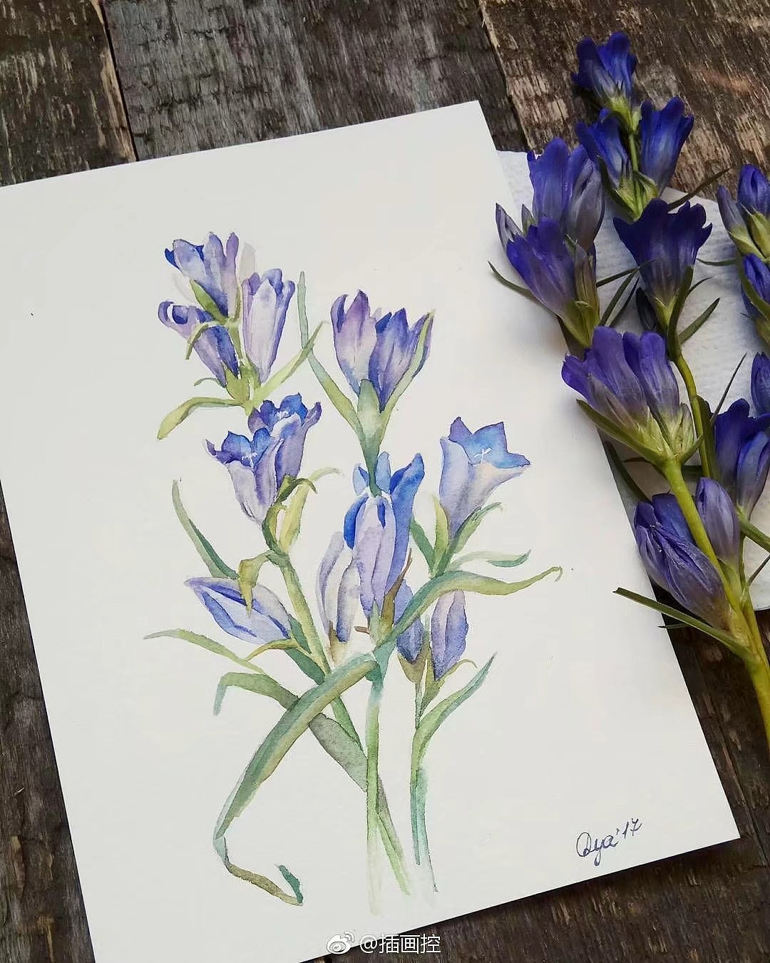 清新手绘（图ZMTI5Mjc0NTIw） - 艺术插画 - 站酷设计师一只虎斑喵呀原创素材 - 站酷ZCOOL