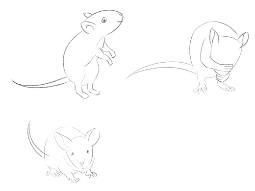 老鼠动态线稿速写