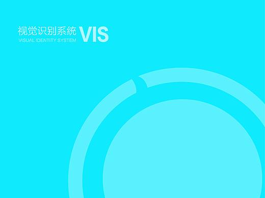 VIS手册