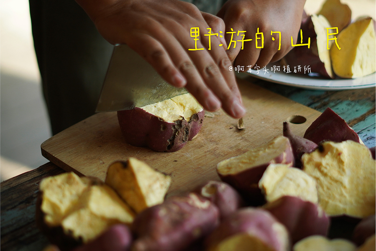 国庆营-野游的山民02