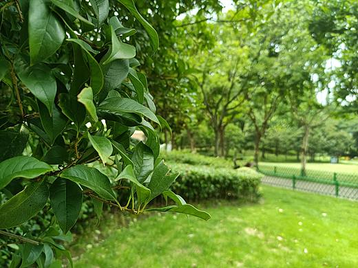 忙碌的LV途生活