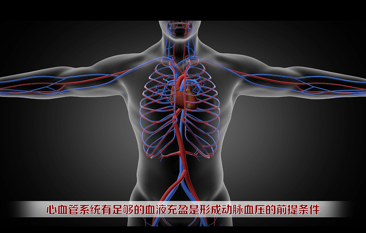 动脉血压的形成机制（图ZMjEwOTY2NjA0） - 影视后期 - 站酷设计师坤兮原创素材 - 站酷ZCOOL