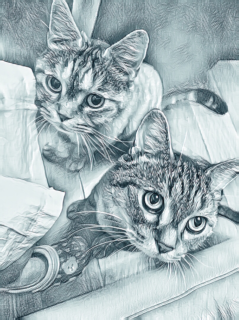 铲屎官日志（图ZMTIyNDM2Njgw） - 绘画 - 站酷设计师tangguo19811030原创素材 - 站酷ZCOOL